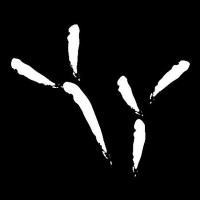 Blackbird Studio logo - Similar company to Clayton Recording Studios