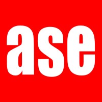 ASE, LLC logo - Similar company to Pace Lynch