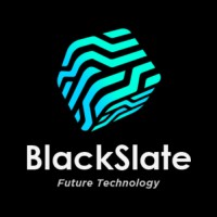 Blackslate Digital Private Limited logo - Similar company to Inspitele Solution Pvt Ltd
