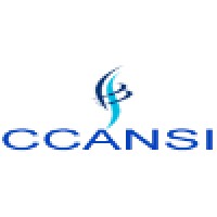 Call Centre and Network Solutions Inc logo - Similar company to Constructive Solutions For Business Inc.