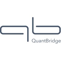Quant Bridge logo - Similar company to Vnish