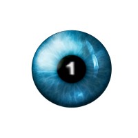 1Vision Agency logo - Similar company to Senifone