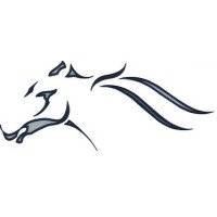 FALCOM VENTURES FZE logo - Similar company to Slate Fze