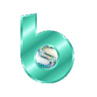 Sournaskh Buildsoft Pvt. Ltd. logo - Similar company to Vani - Expert Medical Billing Services
