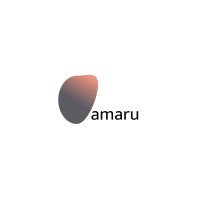 Oamaru Tech logo - Similar company to Snapcredit