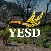 YESD Travel - Authentic Vietnam logo - Similar company to Think & Action