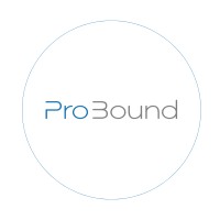 ProBound logo - Similar company to Gamr (Techstars '23)