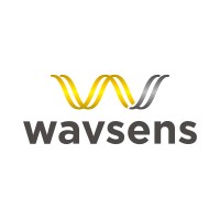 Wavsens logo - Similar company to Revkit