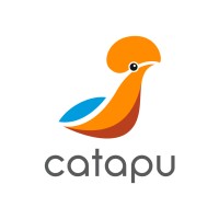 Catapu logo - Similar company to Infinit C-Level