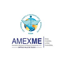 AMEXME VALLE DE TOLUCA logo - Similar company to Aprhifac: Asociación De Profesionales En Recursos Humanos Del Sector Salud A.C.