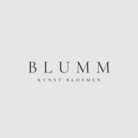 Blumm logo - Similar company to Dks Systems