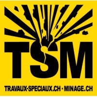 TSM - Travaux Spéciaux et Minage sàrl logo - Similar company to Sse Sverige Ab