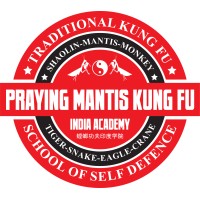 Praying Mantis Kung Fu India logo - Similar company to Rayytech