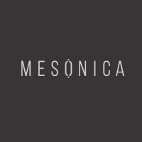 Mesonica logo - Similar company to Rbgenie