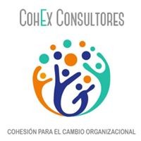 CohEx Consultores logo - Similar company to Espacio Sistémico