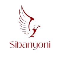 Sibanyoni.Co logo - Similar company to D&I Remote Solutions (Pty) Ltd