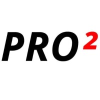Pro2 Logistics USA logo - Similar company to Project One Logistics