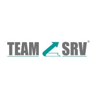 TEAM SRV logo - Similar company to Reverse Vision Technology Engineering & Design Services