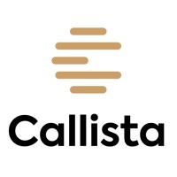 Callista Software | Bulgaria logo - Similar company to Bl Consulting Ltd