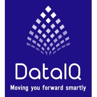 DataIQ Computer Systems Consultancies logo - Similar company to Executrain Of Dubai