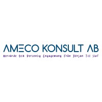AMECO Konsult logo - Similar company to Jemu Solutions