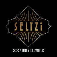 SELTZi Cocktail Co™ logo - Similar company to Crafted Taste Cocktail Kits