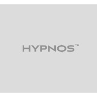 HYPNOS™ | Interior Architecture Studio logo - Similar company to Mhv Interior