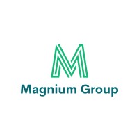 Magnium Group logo - Similar company to Magnium Group