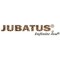 JUBATUS® Experiential Education Technology Solutions® (OPC) Private Limited logo - Similar company to Jubatusai Labs