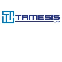 Tamesis Corporate Services Ltd. logo - Similar company to Planet Cluster