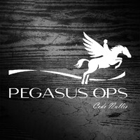 Pegasus-Ops logo - Similar company to Valiant Risk Group