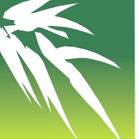 Pacific Bamboo Resources