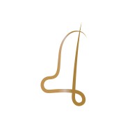 Golden Management Opportunities logo - Similar company to Better Image Solutions