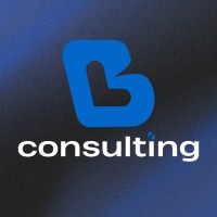 BL Consulting logo - Similar company to Max Van Der Stoel Institute