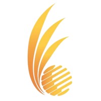 Bali Star Island logo - Similar company to Bali Visual Creations