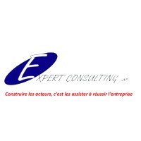 CABINET EXPERT CONSULTING logo - Similar company to Django Expertise