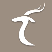 Mozano Digital logo - Similar company to Nxt Launchpad