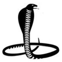 Cobra Machine Ltd
