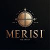 Merisi logo - Similar company to Vior