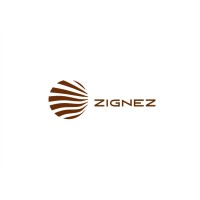 ZIGNEZ logo - Similar company to Webin