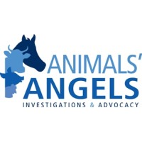 ANIMALS ANGELS INC. logo - Similar company to World Without Genocide