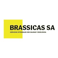 Brassicas S.A logo - Similar company to Kjs Logistics