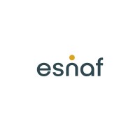 Esnaf logo - Similar company to Firefly (Whimsical Firefly)