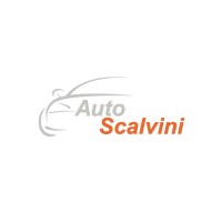 Auto Scalvini logo - Similar company to Magri Gomme Spa
