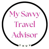 My Savvy Travel Advisor, LLC logo - Similar company to Ignyte Studio
