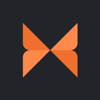 MetaPixels logo - Similar company to Bottimmo Ag