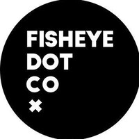 FISHEYE DOT CO logo - Similar company to Webroot Infosoft