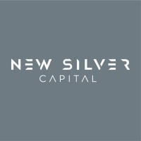 New Silver Capital logo - Similar company to New Silver