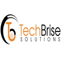 TechBrise Solutions Private Limited logo - Similar company to The Witty Wolf