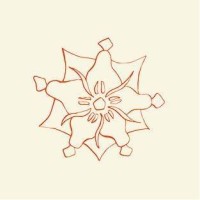Pure Kakaw logo - Similar company to Miaroo Matcha